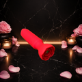 Mini Bullet Vibrator